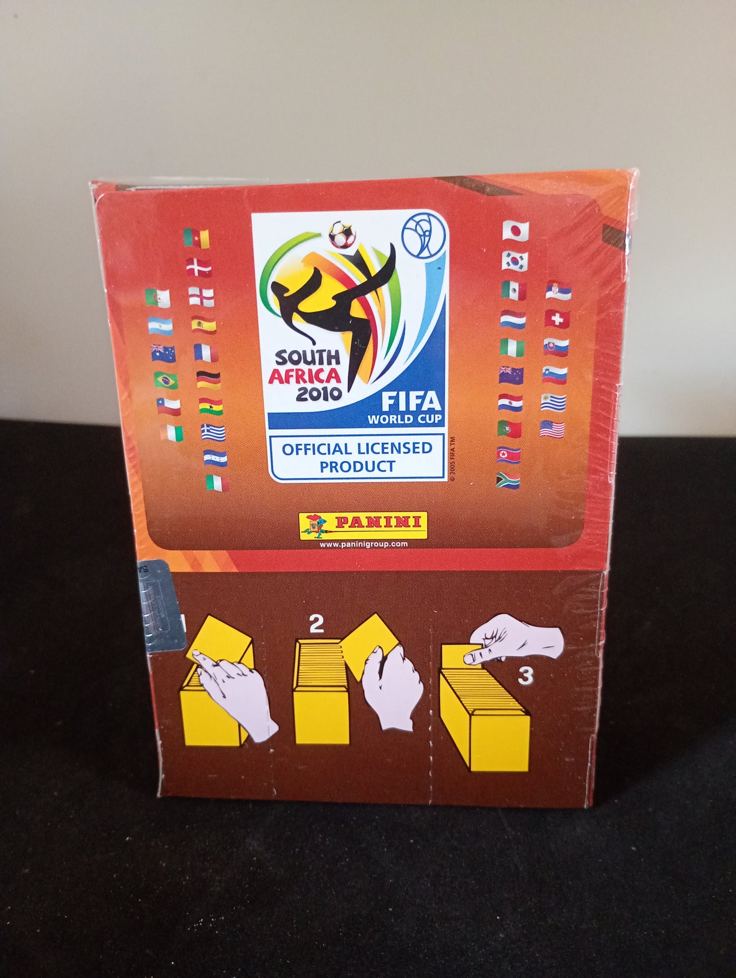 2010 Fifa world Cup Panini